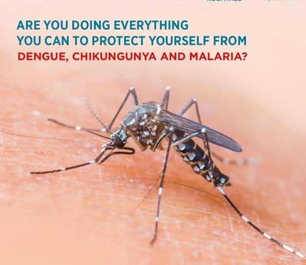 All You Need To Know About Malaria, Dengue, And Chikungunya