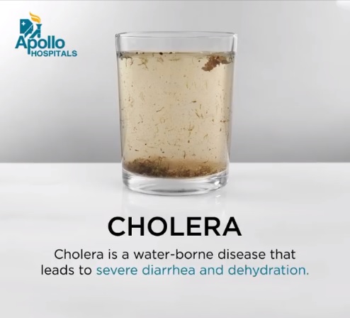 All You Need to Know about Cholera