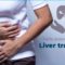 Liver Transplant – Issue To Prioritize On